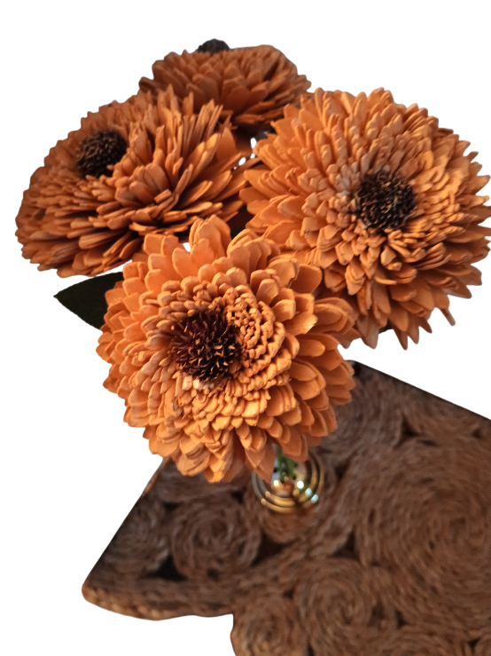 Marvelous Zinnia Single Stem